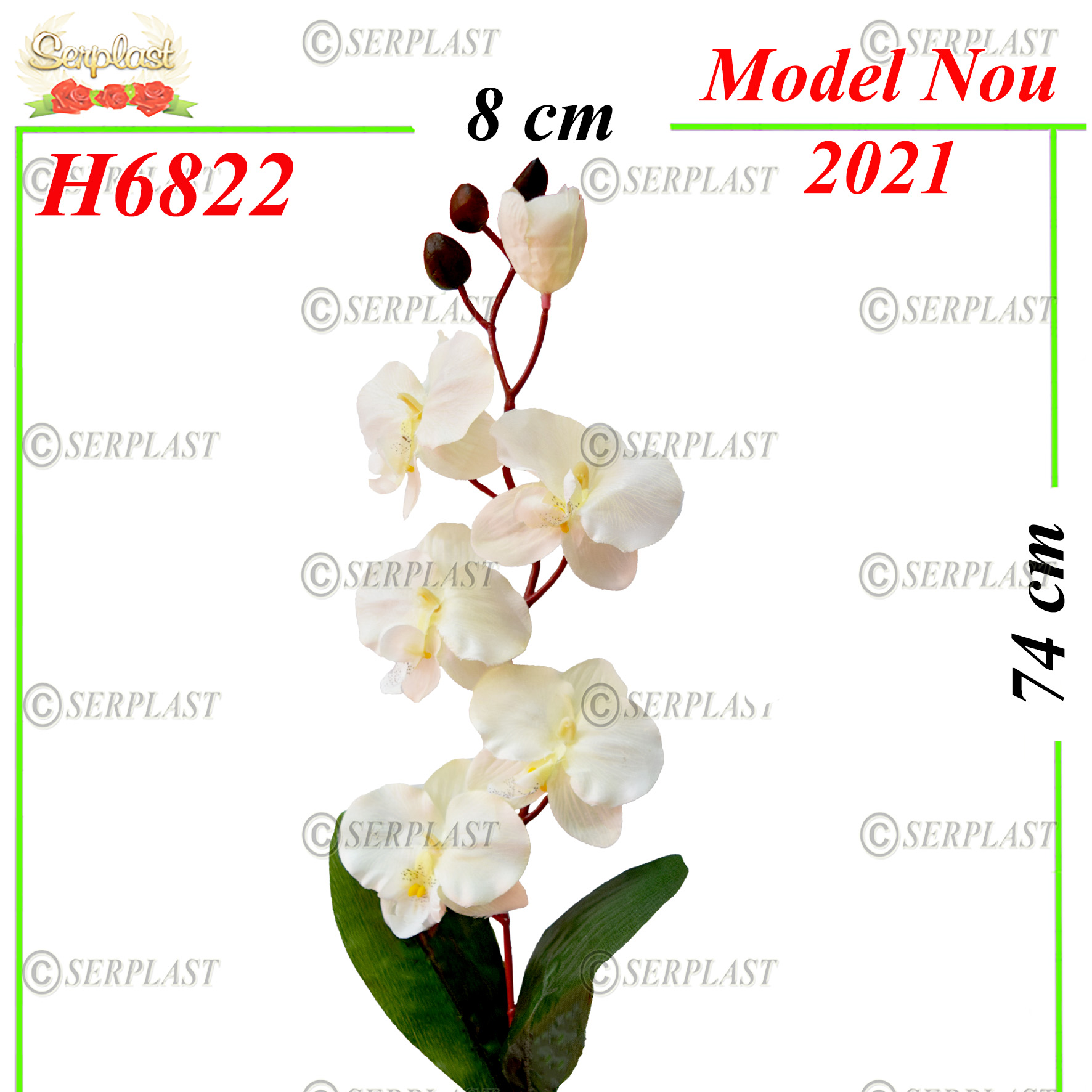 H6822 Floare Orhidee